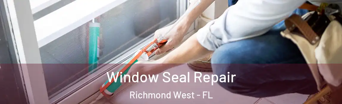  Window Seal Repair Richmond West - FL